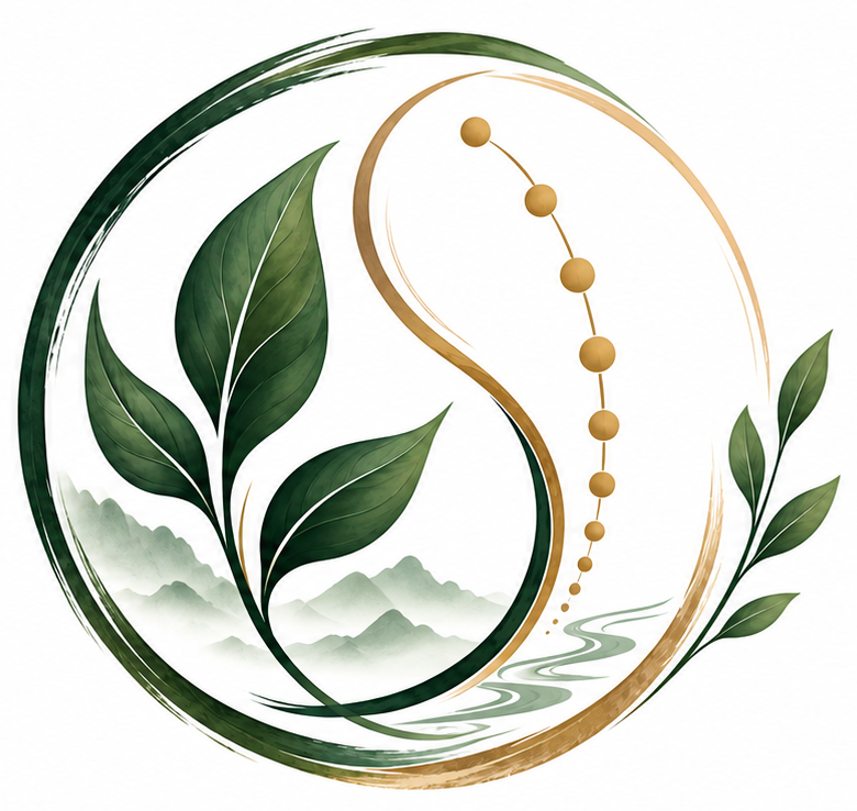 Logo Fabien Dromas